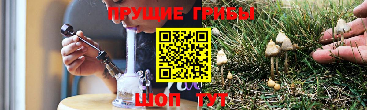 Галлюциногенные грибы Magic Shrooms  Псилоцибиновые грибы GOLDEN TEACHER  Углич  Вход с VPN 
