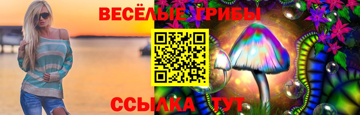 Псилоцибиновые грибы GOLDEN TEACHER Углич